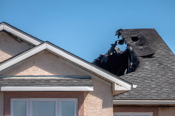 Top rated local Fire Damage Removal specialists in Monroe Township, NJ